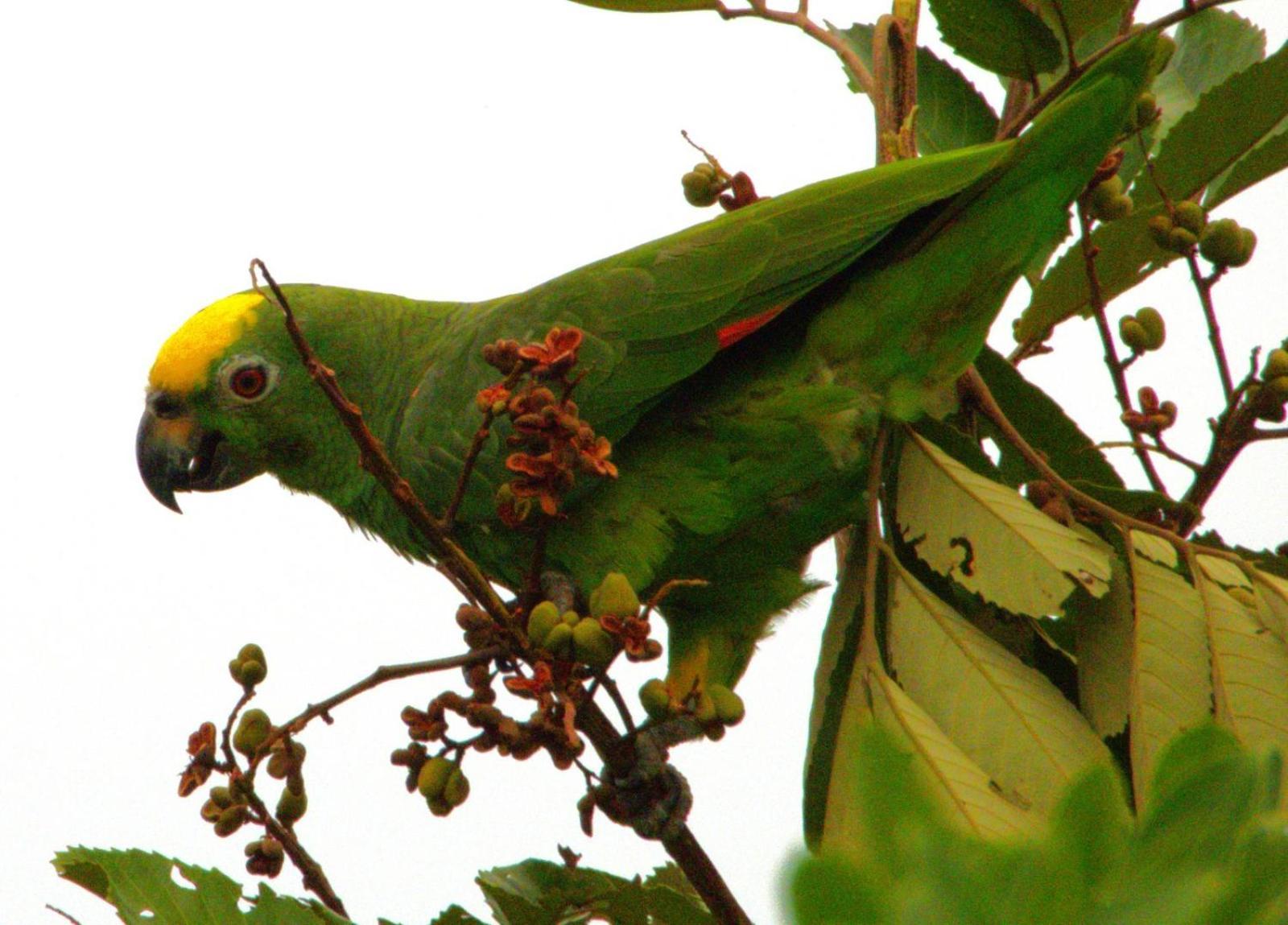 Hotel Mastranto Villavicencio Luaran gambar